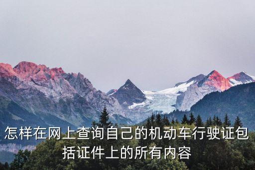 怎么查行駛證信息，怎樣查詢(xún)行車(chē)證信息