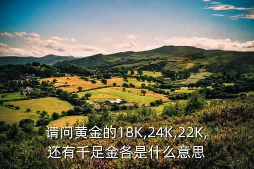 金各,金條價格今天價格查詢