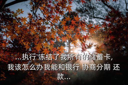 ...執(zhí)行 凍結(jié)了我所有的儲(chǔ)蓄卡,我該怎么辦我能和銀行 協(xié)商分期 還款...