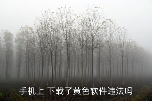 *犯法嗎