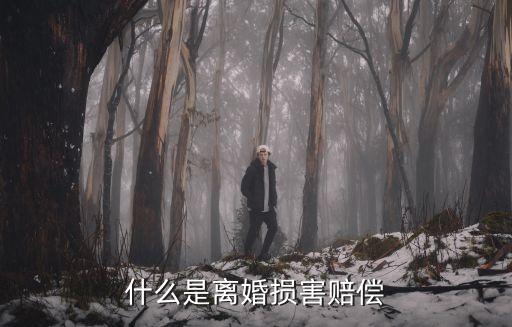 離婚賠償，什么是離婚損害賠償