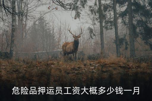 危險品押運(yùn)員工資大概多少錢一月