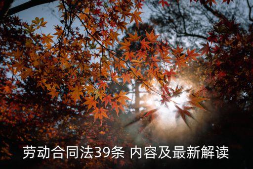 勞動(dòng)合同法39條 內(nèi)容及最新解讀