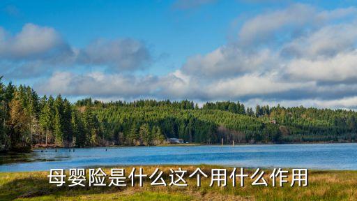 母嬰險是什么這個用什么作用