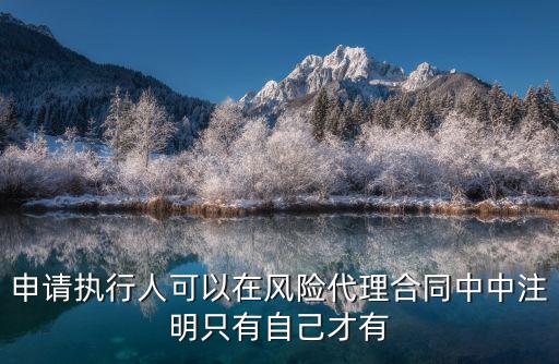 申請執(zhí)行人，申請執(zhí)行人可以購買*拍賣房產(chǎn)嗎