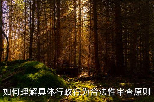 行政合法性原則，行政合法性原則的主要含義