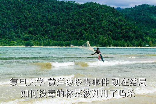 復(fù)旦投毒案，復(fù)旦投毒案
