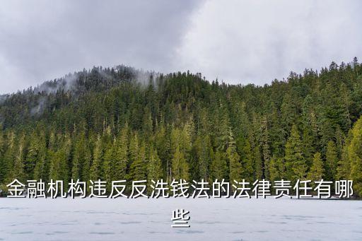 反洗錢法，反洗錢法是什么