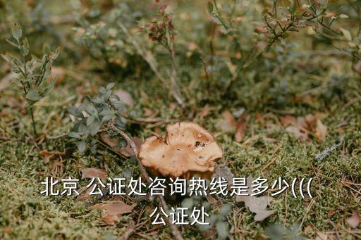 公證處電話查詢,東方公證處人工咨詢電話