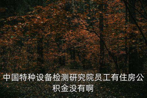 中國特種設(shè)備檢測研究院，中國特種設(shè)備檢測研究院 怎么樣