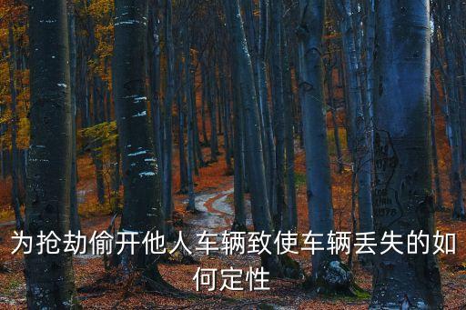 為搶劫偷開(kāi)他人車(chē)輛致使車(chē)輛丟失的如何定性
