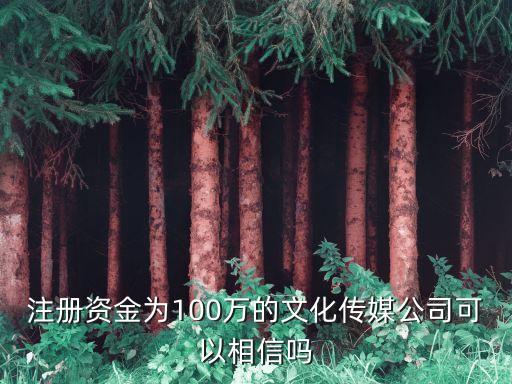 注冊資金為100萬的文化傳媒公司可以相信嗎