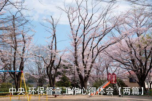 環(huán)保督察