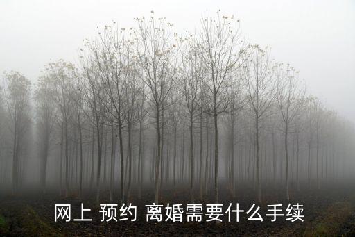 網(wǎng)上預(yù)約離婚,預(yù)約離婚一方不去怎么辦