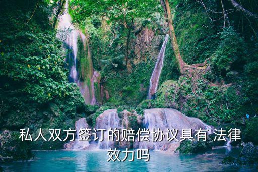 私人簽的協(xié)議書在法律上生效嗎