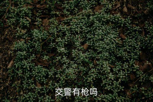 交警配槍嗎，交警有槍嗎
