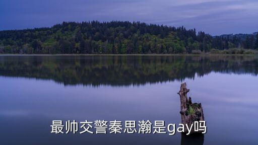 警察GAy，到底哪位警官是gay明確一點