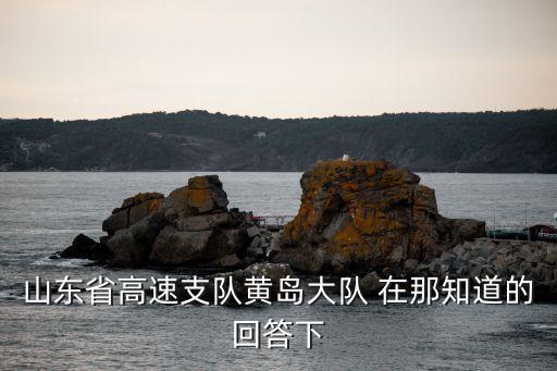 山東省高速支隊黃島大隊 在那知道的回答下