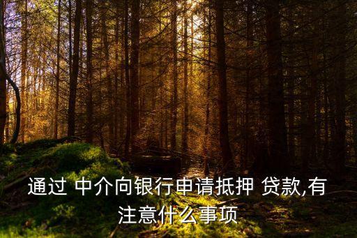 通過 中介向銀行申請抵押 貸款,有注意什么事項(xiàng)