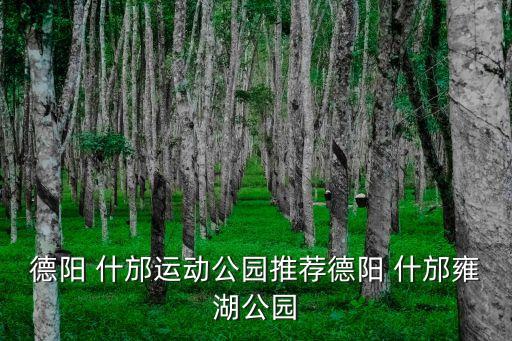德陽 什邡運(yùn)動公園推薦德陽 什邡雍湖公園