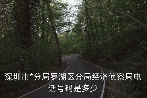 深圳經偵，深圳市經偵局有幾位副局長