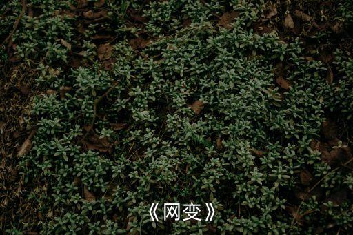 網(wǎng)上行