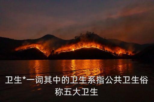 五大生，五大衛(wèi)生是什么