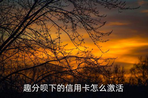 趣分唄下的信用卡怎么激活