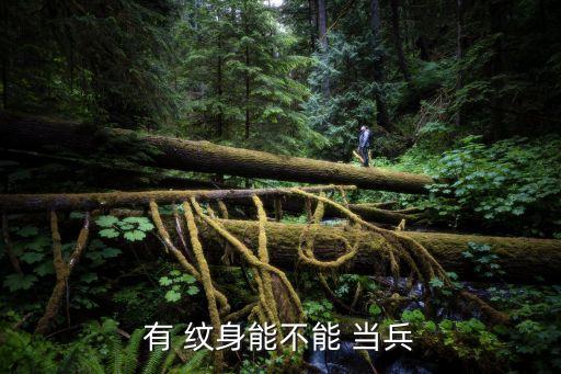 有 紋身能不能 當(dāng)兵