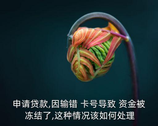 借款卡號錯(cuò)了資金凍結(jié)怎么處理,網(wǎng)貸*簽了電子合同有效嗎