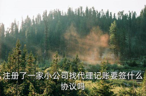 代理記賬協(xié)議，注冊(cè)了一家小公司找代理記賬要簽什么協(xié)議嗎