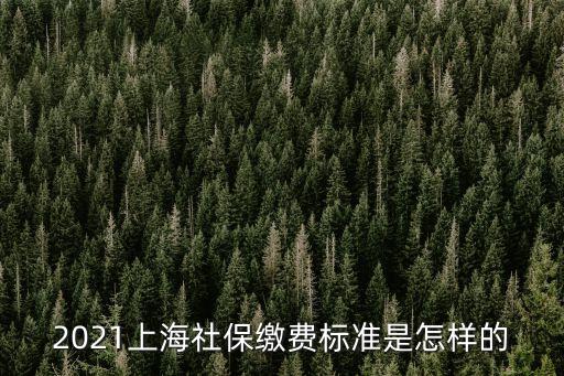上海社保繳費(fèi)基數(shù)，目前上海社保繳費(fèi)基數(shù)是多少