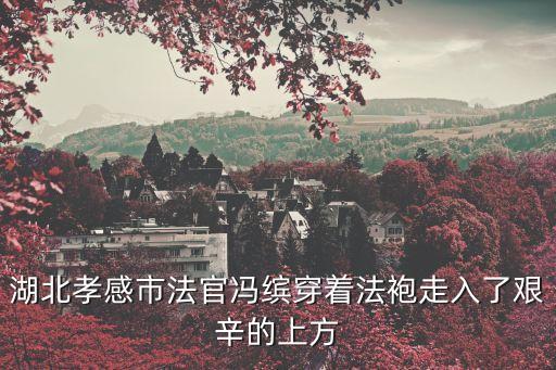 馮繽，馮繽湖北孝感市 第一起法官告*的案子結(jié)果如何