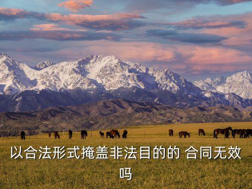 內(nèi)容虛假的合同效力,雙方虛假行為合同效力