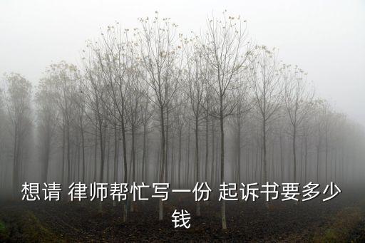 用律師寫起訴書收費(fèi)標(biāo)準(zhǔn),起訴書可以自己寫還是請(qǐng)律師寫