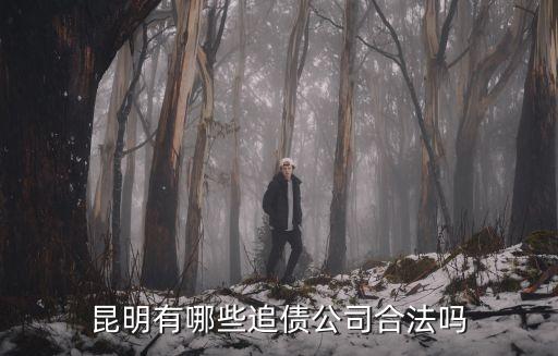 討債公司，討債公司