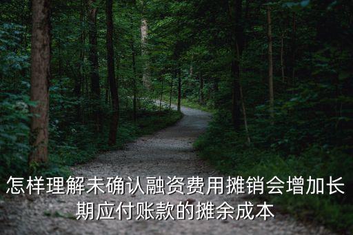 什么是攤余成本，pa63在會(huì)計(jì)報(bào)表中表示什么