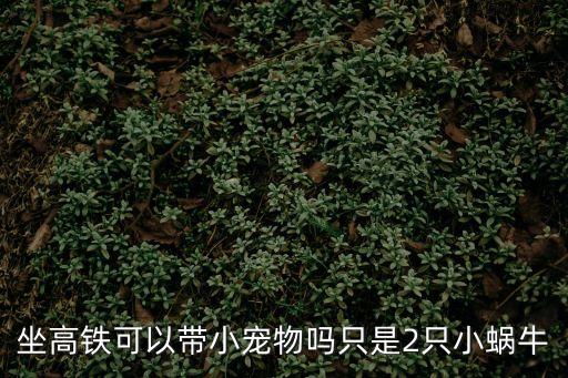 高鐵讓帶寵物嗎，高鐵可以帶寵物狗嗎