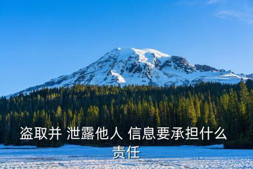 個人信息泄露的法律責(zé)任有哪些,泄露個人信息要承擔(dān)什么法律責(zé)任