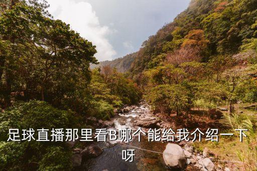 直播看逼，足球直播那里看B哪個(gè)能給我介紹一下呀