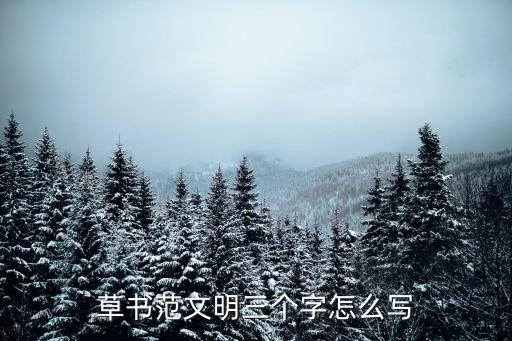范文明，天津南開(kāi)區(qū)63中學(xué)的校長(zhǎng)是誰(shuí)
