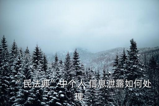 “ 民法典”中個人 信息泄露如何處理