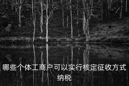 個(gè)體戶核定征收，個(gè)體戶性質(zhì)一般納稅人可以申請核定征收嗎