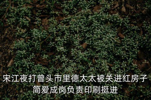 紅房子事件，紅房子醫(yī)院又發(fā)生什么事了