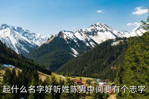 陳志高，我想幫我兒子起個(gè)名 我想起 陳志高 陳志興 請(qǐng)問(wèn)大家哪個(gè)好聽(tīng)