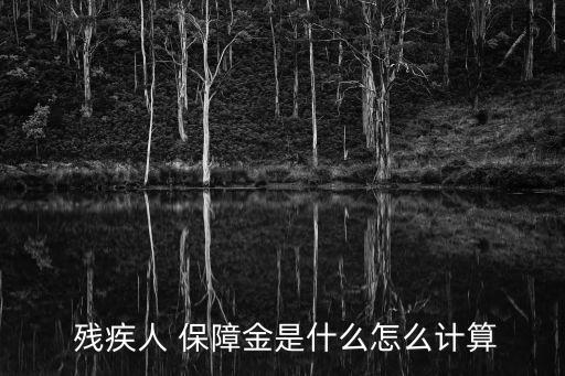 殘疾人保障