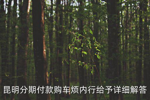 昆明分期付款購(gòu)車煩內(nèi)行給予詳細(xì)解答