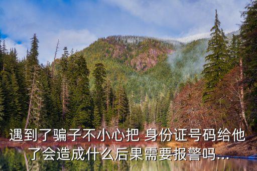 給我一個身份證號,成人身證份