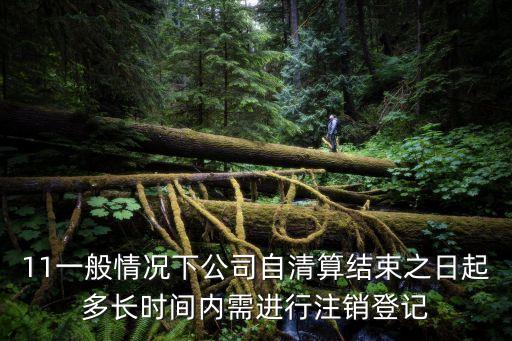 公司自行清算，11一般情況下公司自清算結(jié)束之日起多長(zhǎng)時(shí)間內(nèi)需進(jìn)行注銷登記