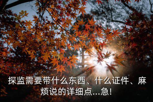  探監(jiān)需要帶什么東西、什么證件、麻煩說的詳細(xì)點(diǎn)…急!